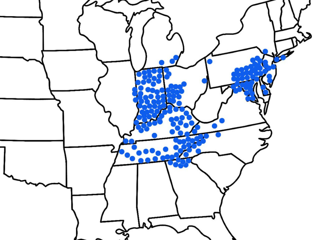 Map Of Where The Cicadas Are Hatching 2021 Ohio Maps Of Ohio