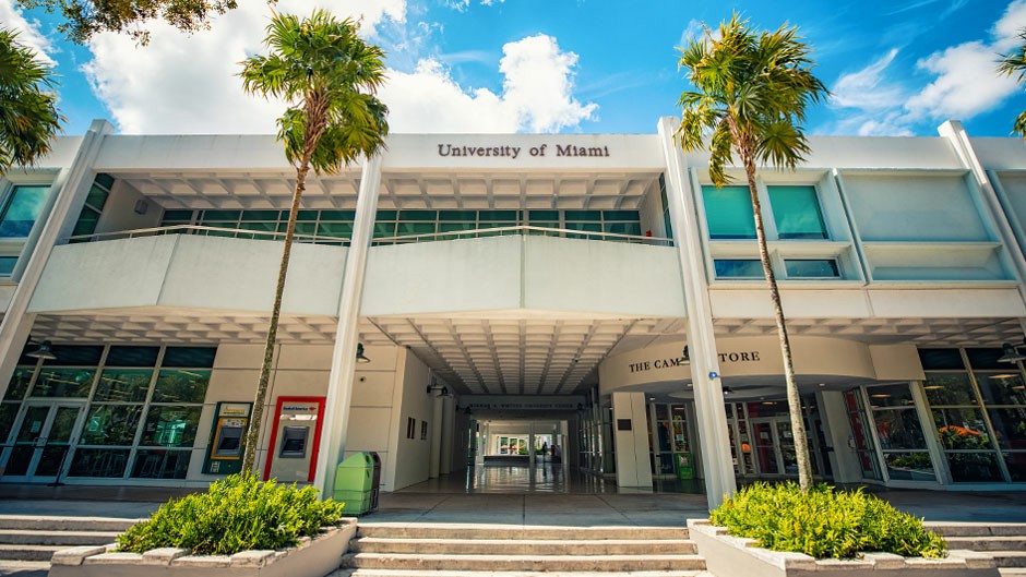 Mascota De La Universidad De Miami
