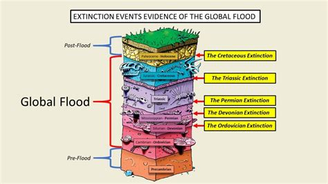 Mass Extinctions As Evidence Of The Global Flood Evolution Is A Myth