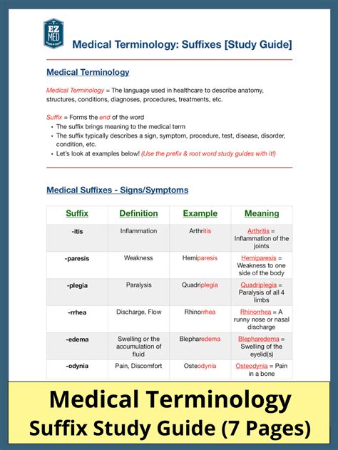 Master Medical Terminology The Ultimate Guide To Suffix Meanings