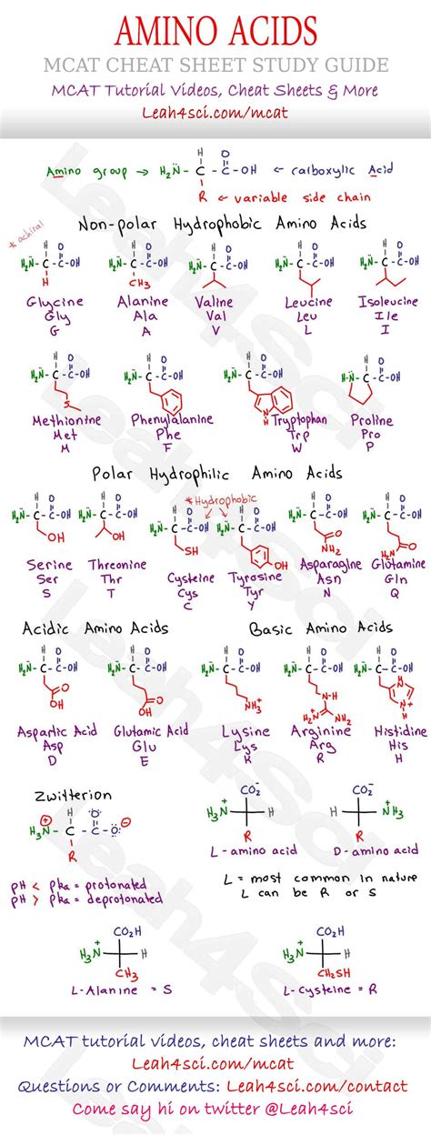 5 Amino Acids