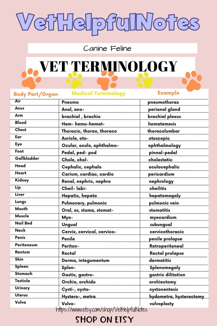 Med Terminology 21 A Prefix Is A Word Element Placed At The