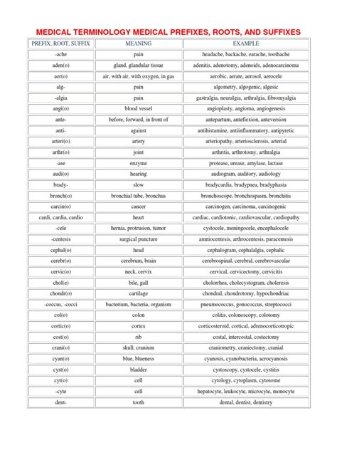 Medical Prefixes Clinical Medicine Medical Specialties