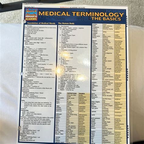 Medical Terminology The Basics By Corinne B Linton Reviews