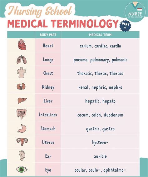 Medical Terminology