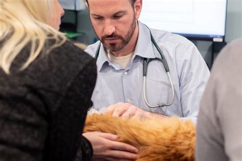 Meet Our Veterinary Specialists At Veterinary Medical Center Of Long