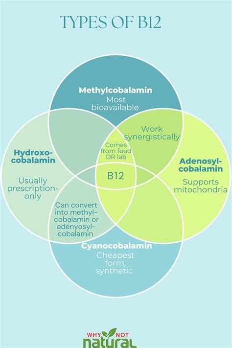 Methylcobalamin Vs Cyanocobalamin Which B12 Is Superior