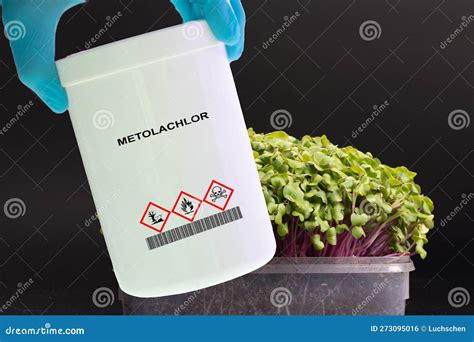 Metolachlor A Pre Emergent Herbicide Used To Control Annual Grasses And