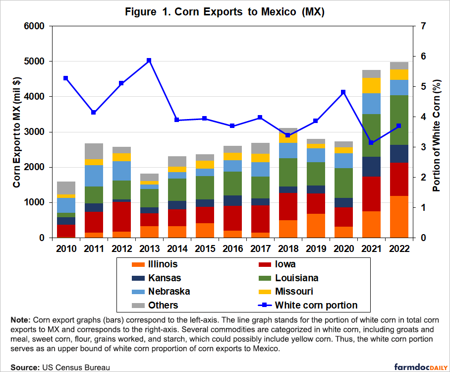 5 Ways GM Corn Impacts Mexico