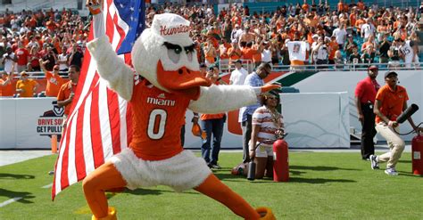 Miami Hurricanes Mascot The History Behind Sebastian The Ibis