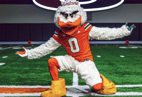 5 Miami Mascot Facts