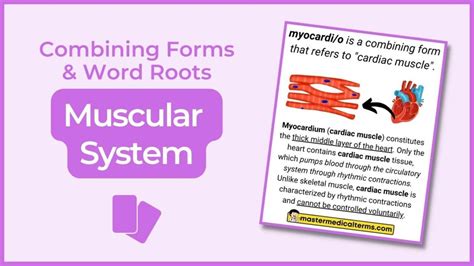 Micro Master Medical Terms