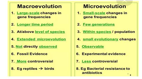 Micro vs Macro Evolution Explained