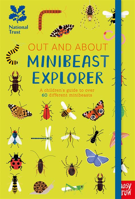 Minibeasts Activity Pack Mindingkids