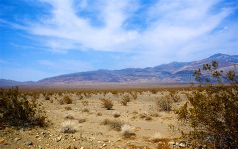 Mojave Desert