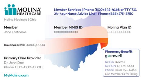 Molina Healthcare Vs Superior Health Plan Top Medicaid Provider