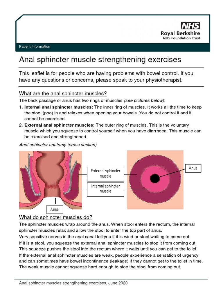Monitoring And Mapping For The Anal Sphincter Muscle Upper And Middle