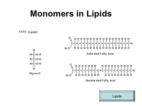 Lipid Monomer Basics