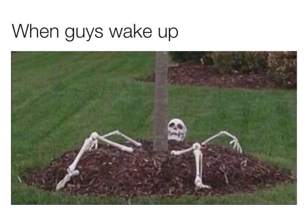 Morning Wood Meme By Firewomen22 Memedroid