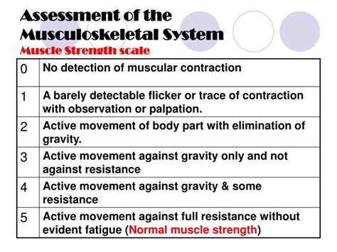 Muscle Strength Scale
