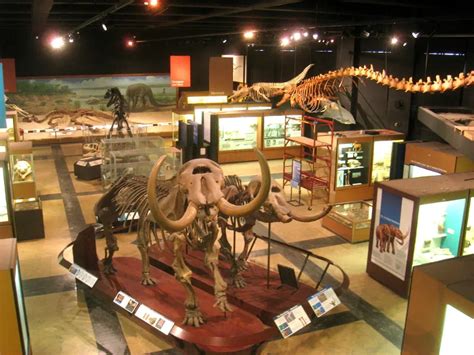 Ann Arbor Museum of Natural History