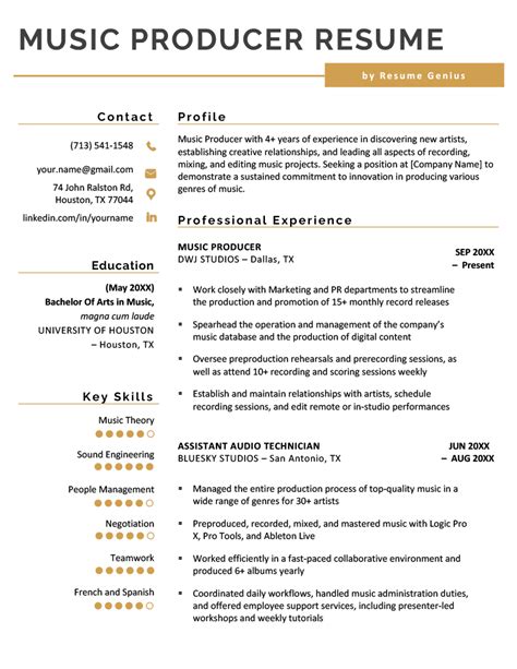 Music Producer Resume Sample Free Template 21 Skills