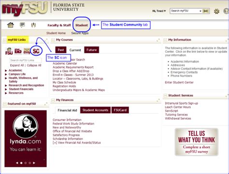 5 FSU Portal Tips