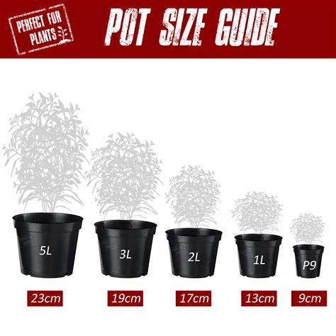 Native Plant Pot Size
