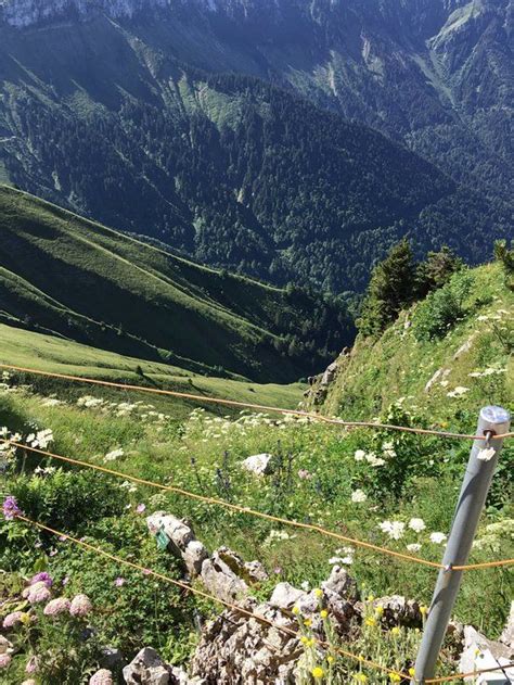 Naval Medical Center 2019 All You Need To Know Before You Go With