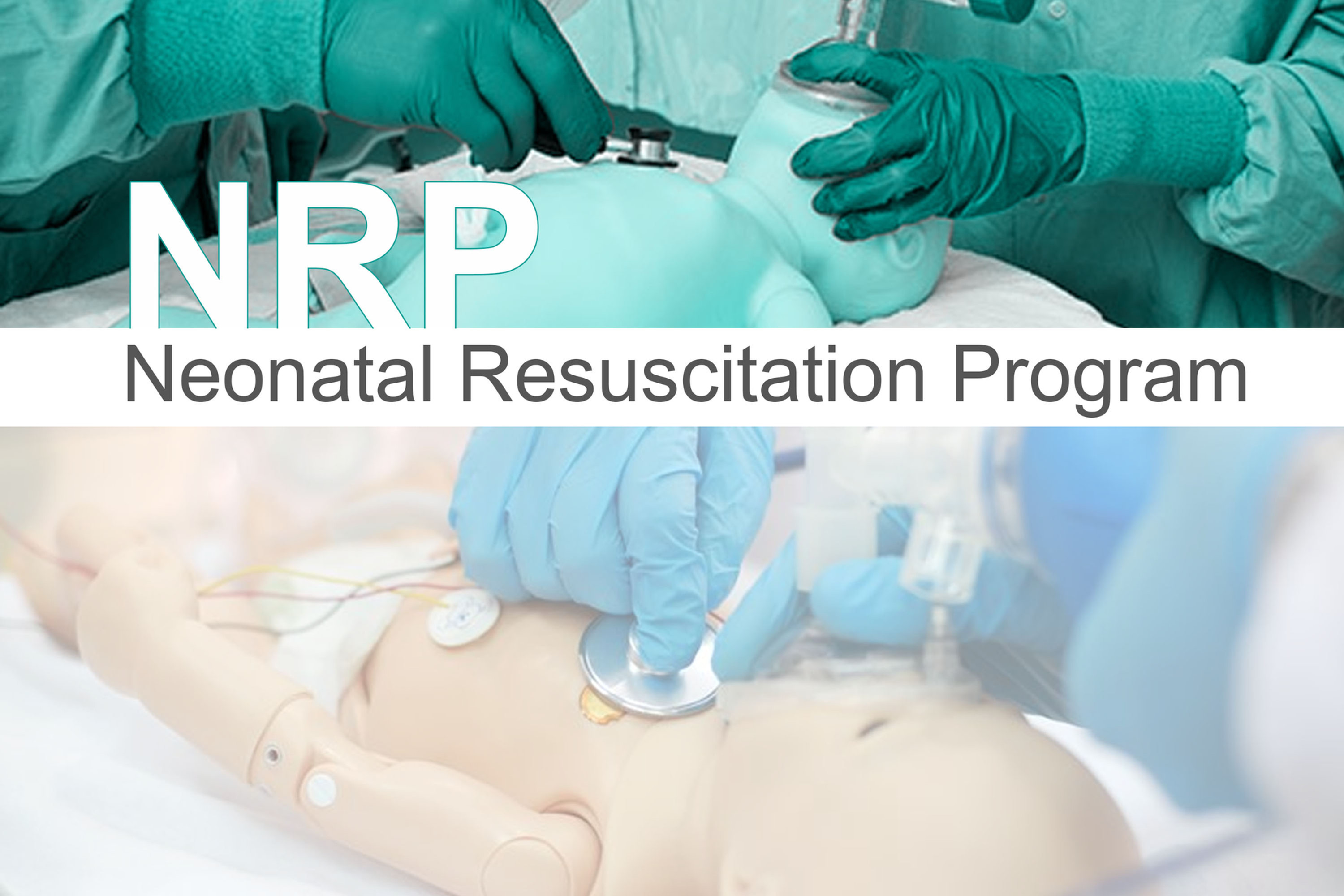 Neonatal Resuscitation Program