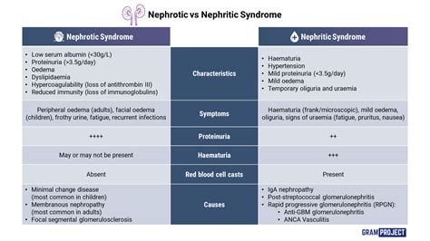 5 Nephritic Tips