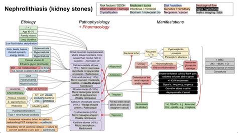 Nephrolithiasis Pathophysiology And Types Ppt