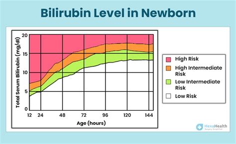 Normal Bilirubin Levels In Newborns Test And Normal Range