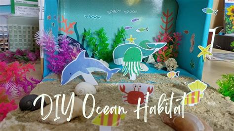 Ocean Habitat Diorama Ideas Infoupdate Org