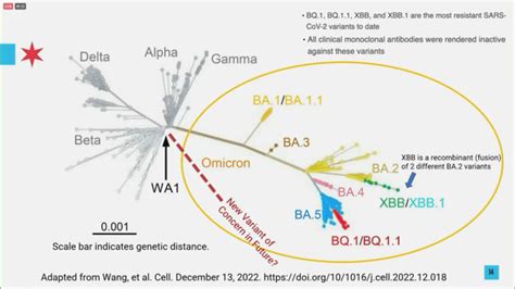 Omicron Xbb 1 5 Why New Strain Variants Are On A Surge After Bf 7 New