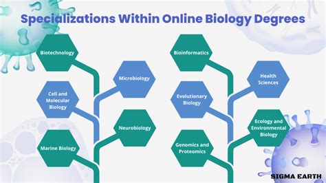 Online Biology Degree Find The Right School