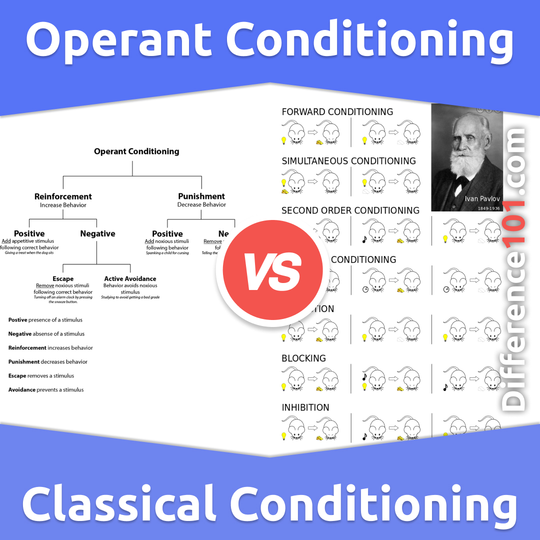 Operant Conditioning Vs Classical Conditioning 8 Main Distinctions To