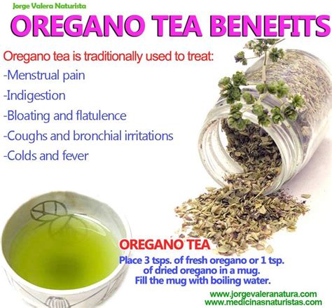 Oregano Tea Benefits