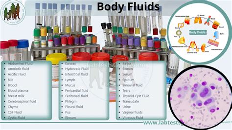Organismal Bio Body Fluids