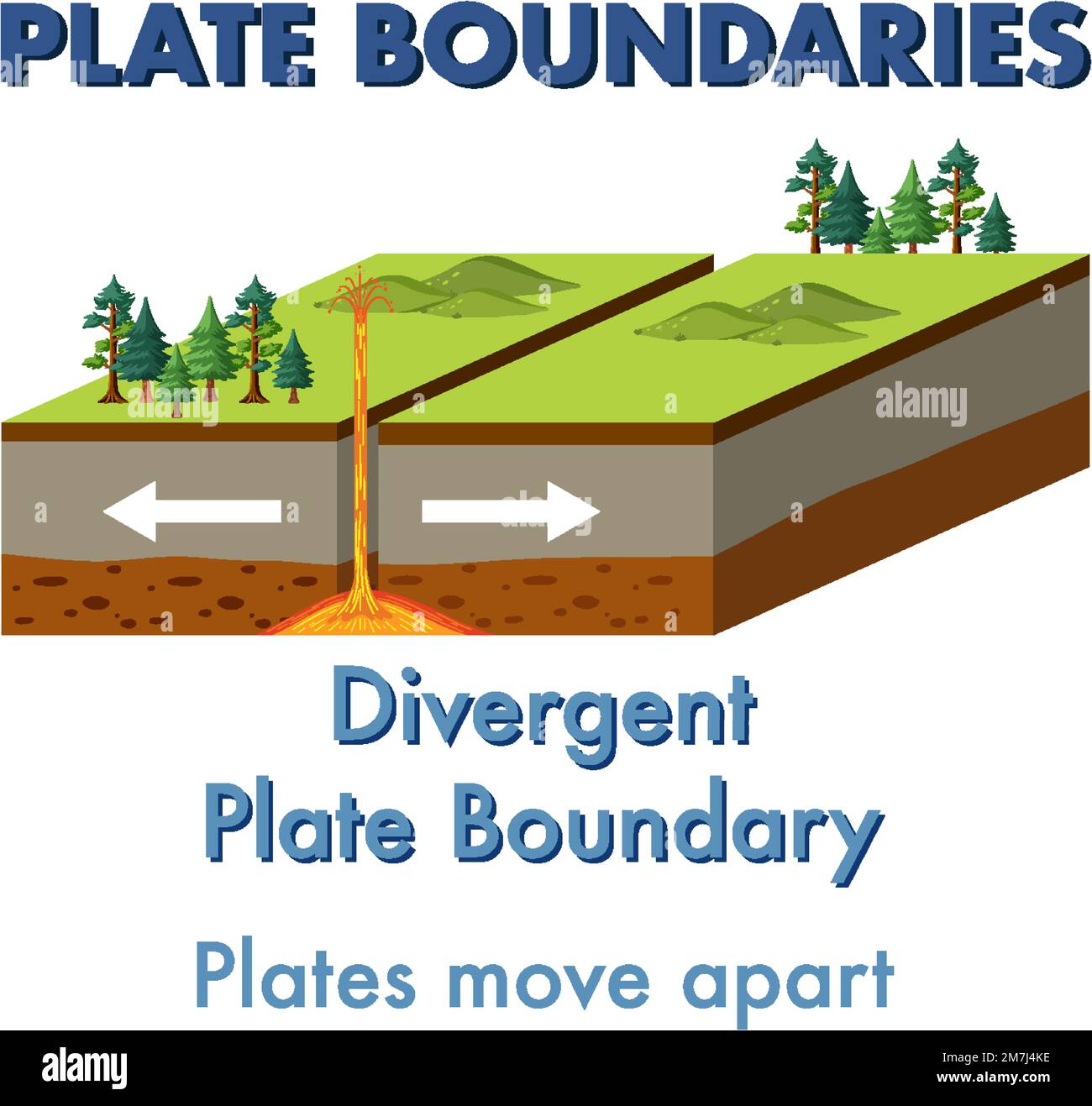 Oviparity An Overview Sciencedirect Topics