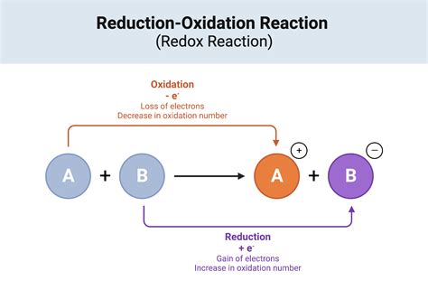 Oxidation Reduction Reaction Half Reactions Britannica Com