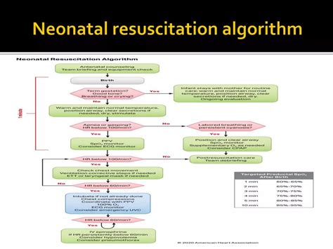 Pals2000 Neonatal Resuscitation