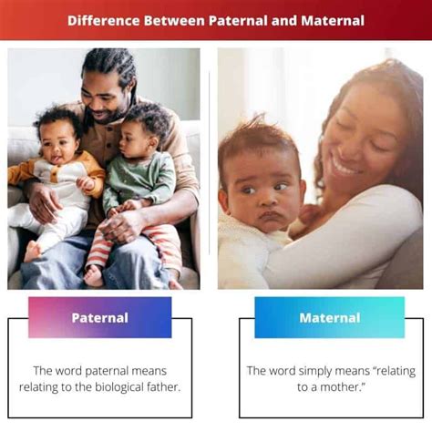 5 Paternal Vs Maternal Differences