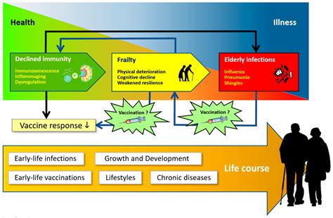 Pathophysiology Free Full Text Challenges In The Vaccination Of The