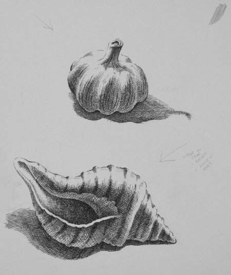 Pen And Ink Basics At Dvsa Barry Coombs Art Workshops