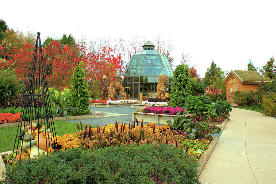 Penn State Arboretum Photograph By Curtis Boggs Fine Art America