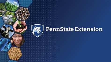 5 Penn State Tips