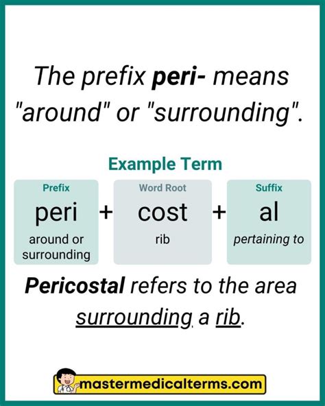 Peri Medical Term Definition