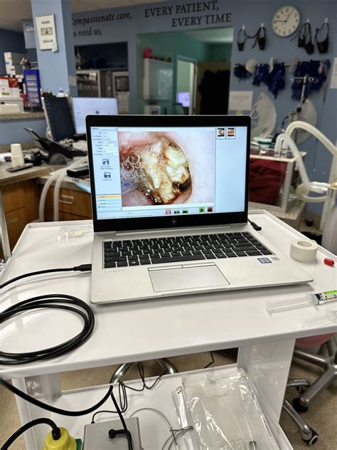 Pet Endoscopy In Brewer Me Eastern Maine Emergency Vet