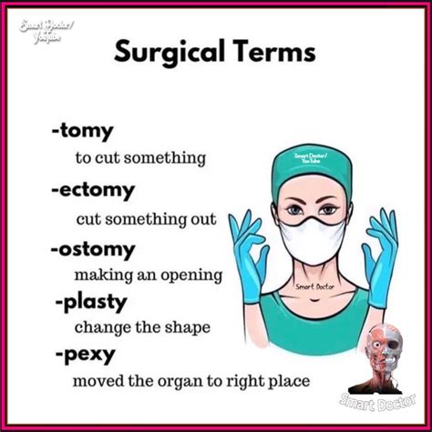Pexy Medical Term